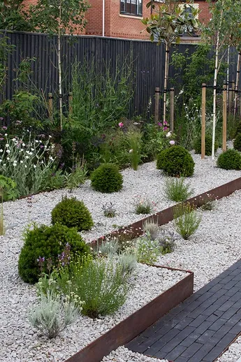Clipped yew balls and silver birches sit in 2-level gravel strip edged with Amersham Clay Pavers. Seating at far end of garden.