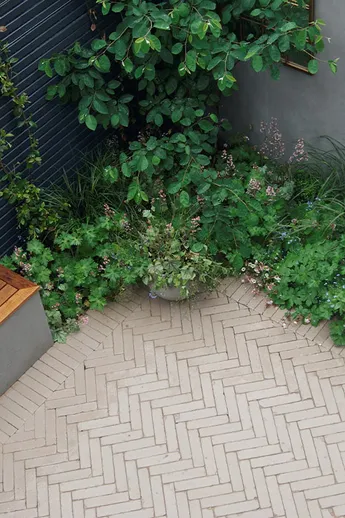 Greenery and bench in corner of courtyard laid with Stone Grey Clay Pavers, with mirrors on grey wall. Design by Amelia Bouquet.