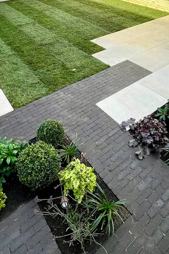 Planted beds set into Amersham Clay Pavers and cream porcelain paving patio laid by Bark Brick & Block next to lawn with path.