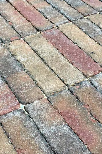Close-up of Bexhill Brick Pavers, showing blue, red, beige and grey colour variation, laid by GRDN Design. Free delivery available.