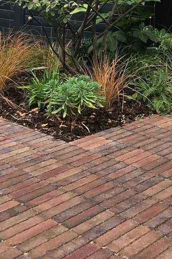 Bexhill Clay Pavers laid stack bond next to L-shaped border of grasses and architectural foliage, planted by GRDN Design.