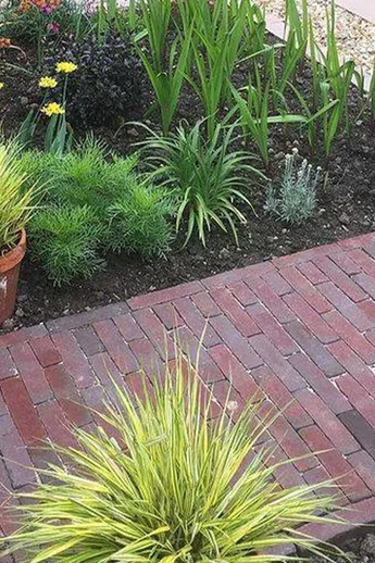 Short path of Coastal Red Brick Pavers between neat beds with planted stone pot. Design by Sophie Simpson. Build by Crowcroft Bros.