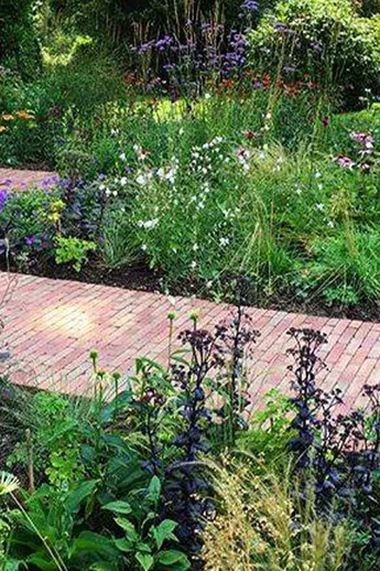 Path of Seville Brick Pavers leads from lawn to middle of large flowery beds. Design by Adele Ford. Built by RDC Landscapes.