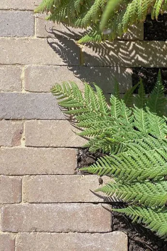 Fern fronds spill over Charcoal Grey Brick Pavers with sanded joints, laid running bond, by Scholey Garden Design and Pots of Style.