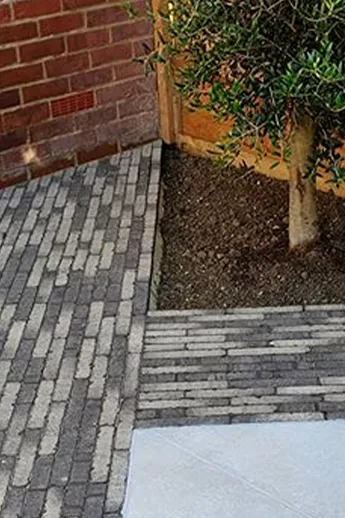 Tree centrally placed in triangular bed formed of fence and 2 strips of Silver Grey Multi clay pavers. Built by Marli Construction.
